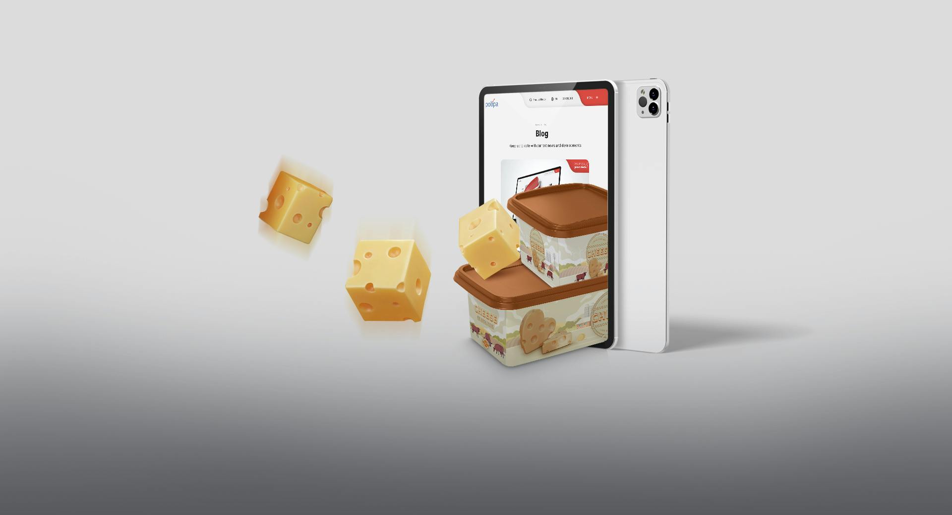 Features of Cheese Packaging